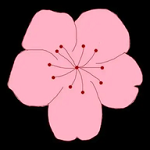 WWW,seqing·COM网站APPAPP应用